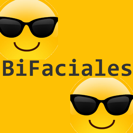 Picture for category Modulos bifaciales